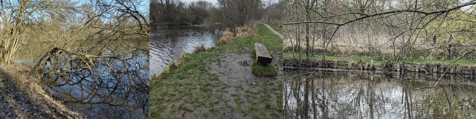 des marais mieux entretenus